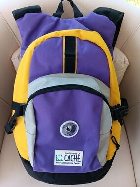 Vintage InterSystems CACHE Tech Promo Insulated Cooler Backpack Gorpore